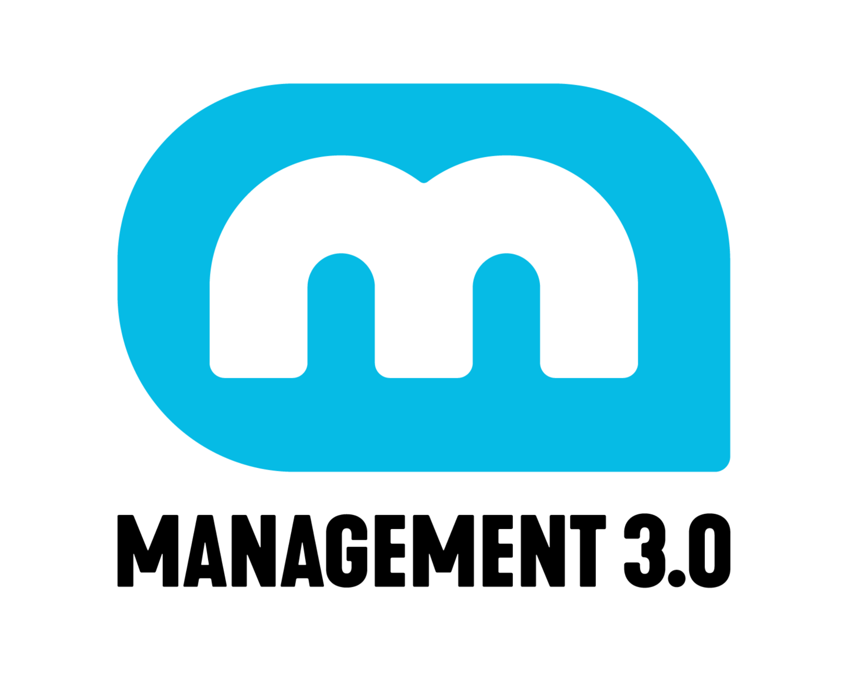 Management 3.0 - Logo